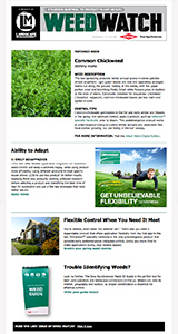 landscape management
