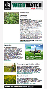 landscape management