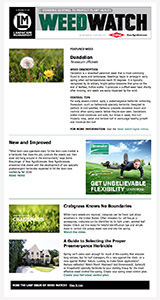 landscape management
