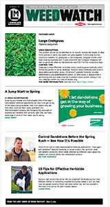 landscape management