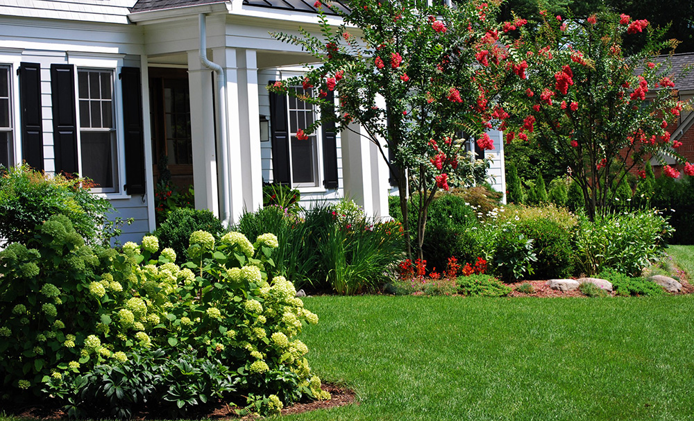 Close view of front yard (Photo: Hilary Schwab)