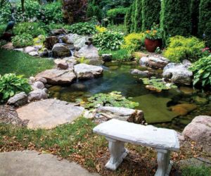 Pond (Photo: Aquascape)