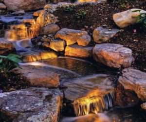 Pond-free (Photo: Atlantic Water Gardens)