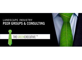 Logo: The Green Executive.