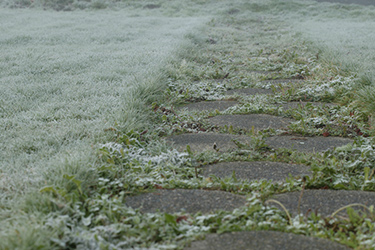 Sidewalk covered with frost. (Photo: iStock.com/Piepereit)