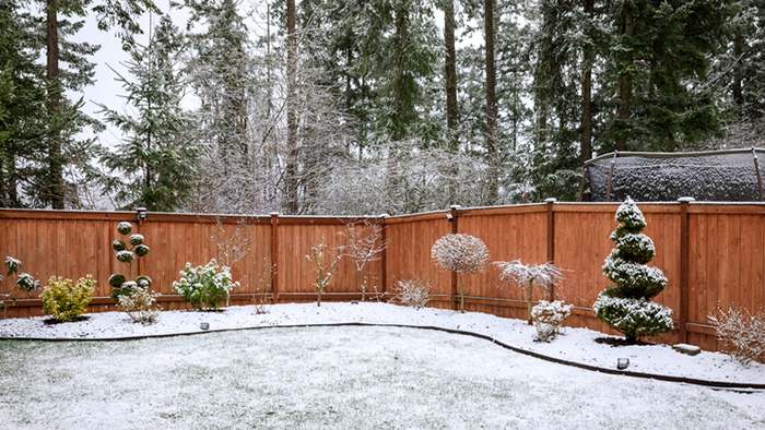 Snowy yard. (Photo: iStock.com/Gerardo Martinez Cons)