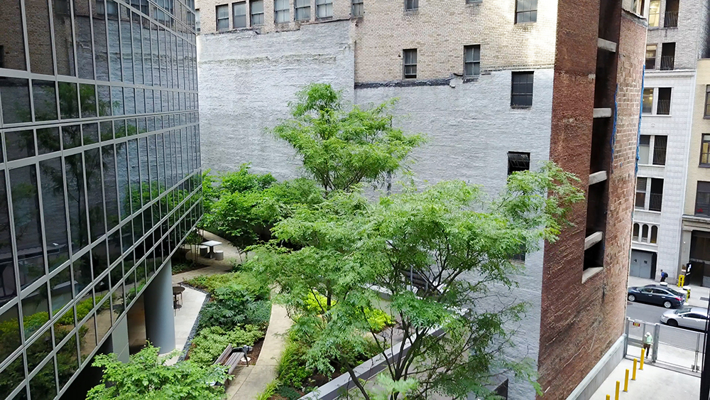 Manhattan's building design (Photo: John Mini Distinctive Landscapes)