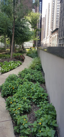 Lush plantings (Photo: John Mini Distinctive Landscapes)