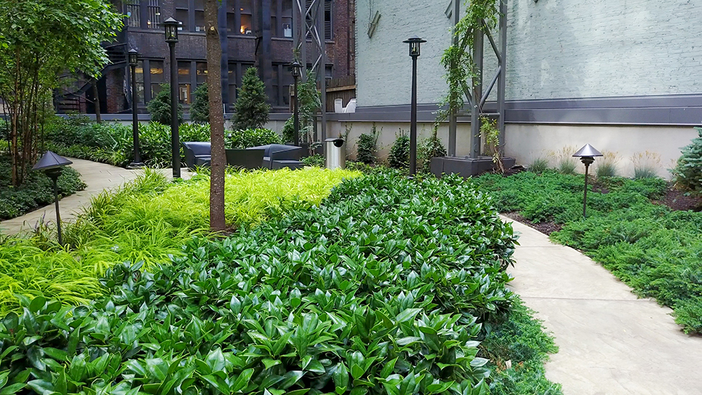 Yin/yang planting (Photo: John Mini Distinctive Landscapes)