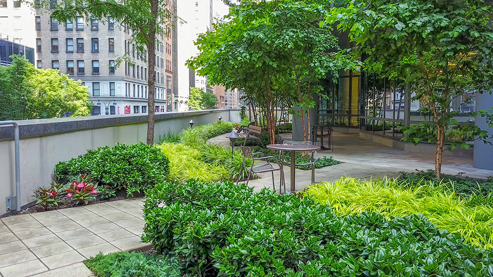 Plant materials around garden (Photo: John Mini Distinctive Landscapes)