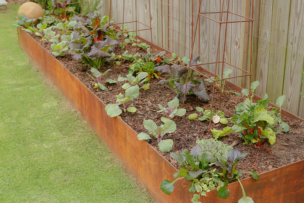 Raised plant vegetable garden (Photo: Dry Branch Photography)
