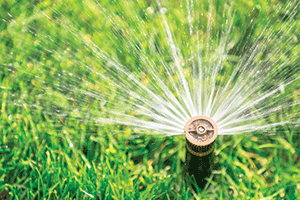 Irrigation sprayhead (Photo: iStock.com/MariuszBlach)