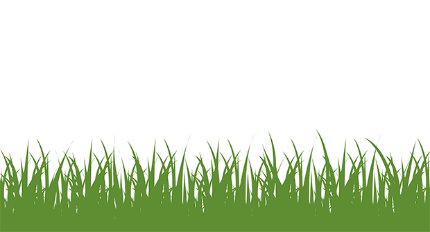 Grass image (illustration: iStock.com/Pavlo Stavnichuk)