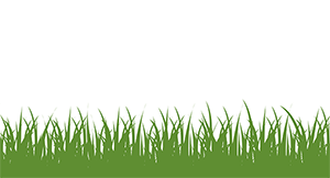 Grass image (illustration: iStock.com/Pavlo Stavnichuk)