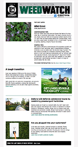landscape management