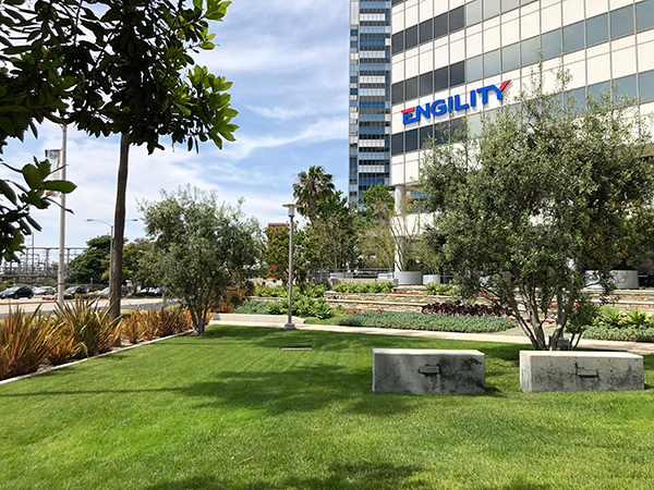 Mini park outside PCT headquarters (Photo: LandCare)