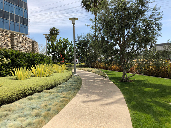 Stone walkway and lawns (Photo: LandCare)