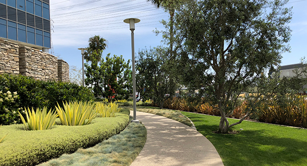 PCT walkway (Photo: LandCare)
