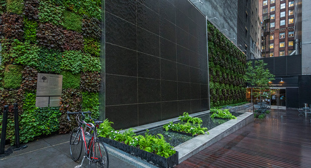 Green wall, Manhattan (Photo: John Mini Distinctive Landscapes)