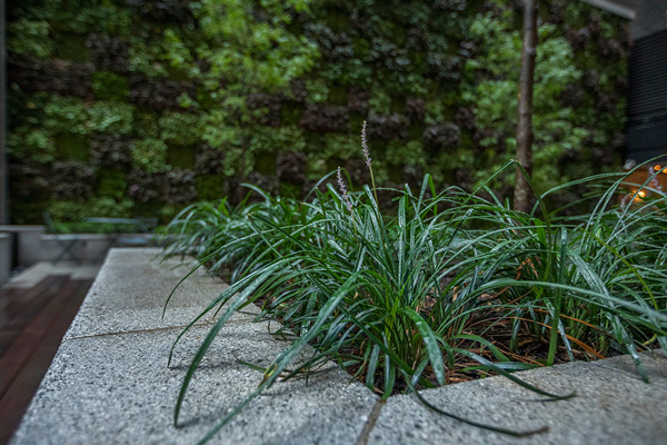 Photo: John Mini Distinctive Landscapes