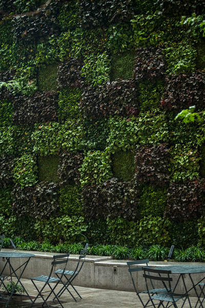 Photo: John Mini Distinctive Landscapes