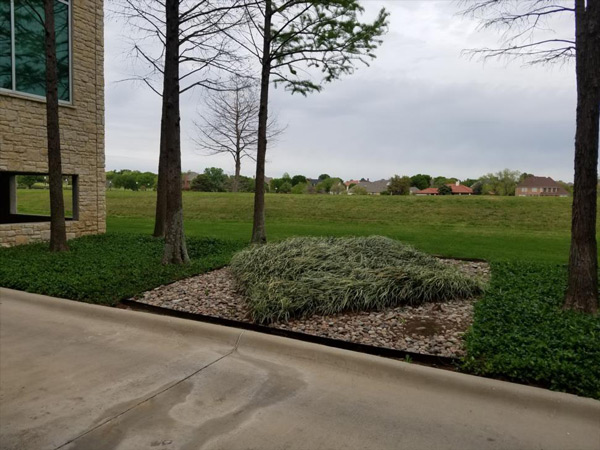 Photo: Custom Greenscaping