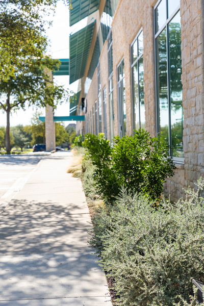 Drought tolerant plants (Photo: Custom Greenscaping)