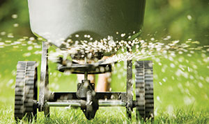 Spreader (Photo: iStock.com/BanksPhotos)