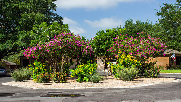 Island with greenery at Blue Skies of Texas (Photo: Clean Scapes)