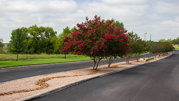 Colorful entryway at Blue Skies of Texas (Photo: Clean Scapes)