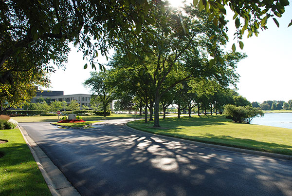 Canopy trees at Kemper Lakes facility (Photo: Gayle Kruckenburg and Bryland Photography)