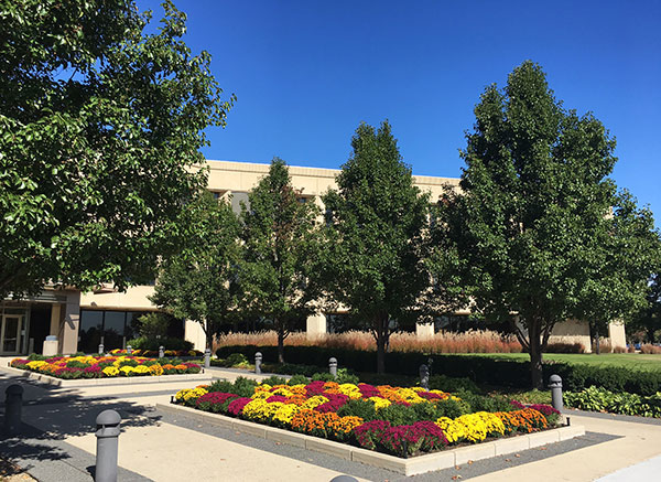 Color plantings at Kemper Lakes (Photo: Gayle Kruckenburg and Bryland Photography)