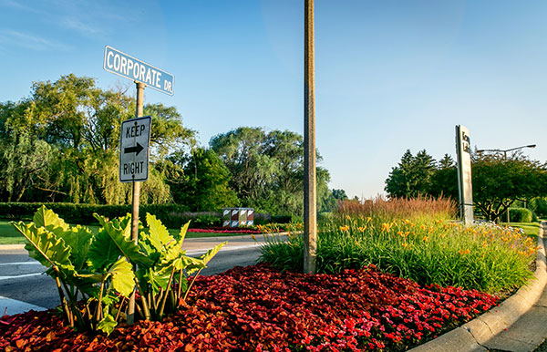 Creative color plantings (Photo: Gayle Kruckenburg and Bryland Photography)