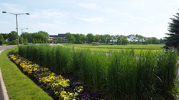 Entry drive of Kemper lakes (Photo: Gayle Kruckenburg and Bryland Photography)