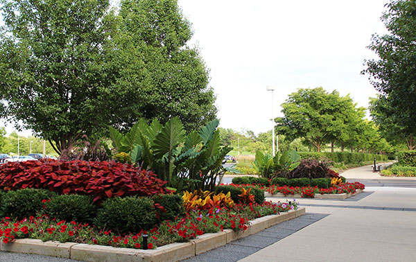 Seasonal plantings at Kemper Lakes (Photo: Gayle Kruckenburg and Bryland Photography)
