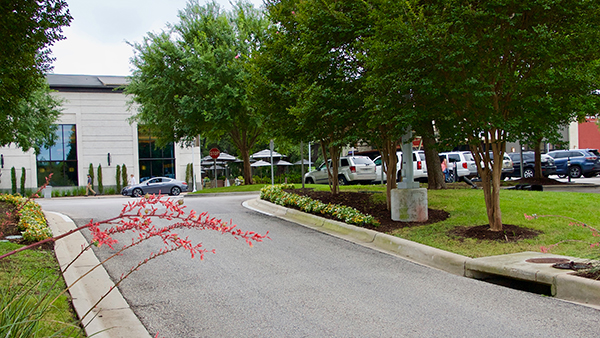 Exit drive at The Domain (Photo: Greg Yount, Native Land Design)
