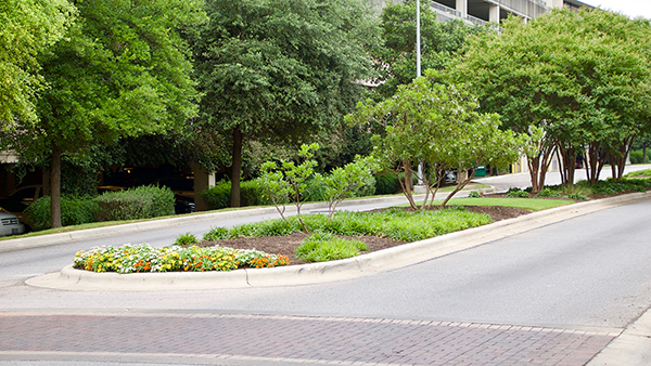Domain Drive The Domain (Photo: Greg Yount, Native Land Design)