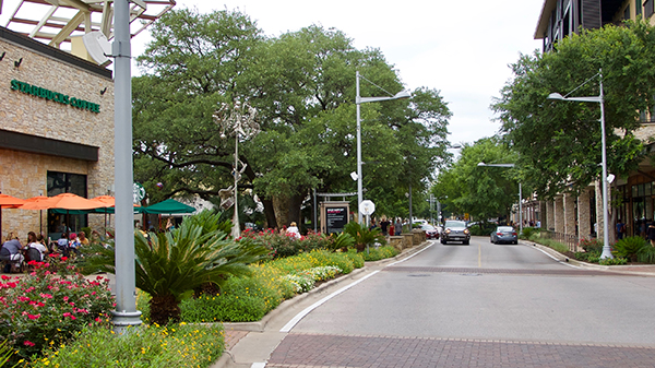 Focal bed at The Domain (Photo: Greg Yount, Native Land Design)