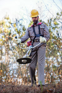 Handheld equipment (Photo: Honda Engine Group)