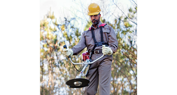 Handheld tool (Photo: Honda Engines)
