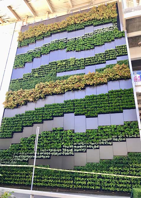 A GSky Living Wall at Vancouver International Airport, Vancouver, BC. | (Photo: GSky)