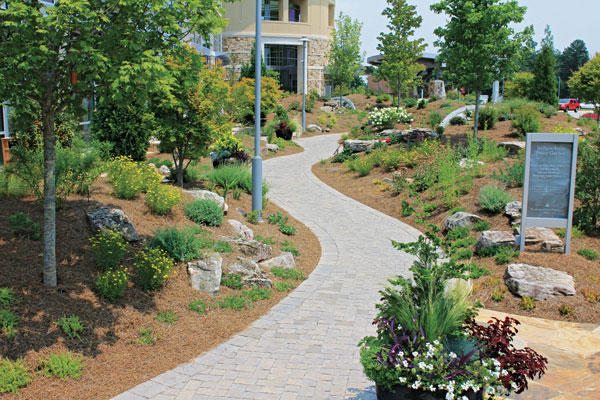 Photo: The Fockele Garden Co.