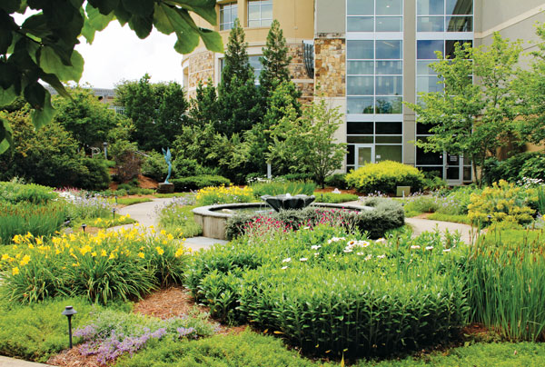Photo: The Fockele Garden Co.