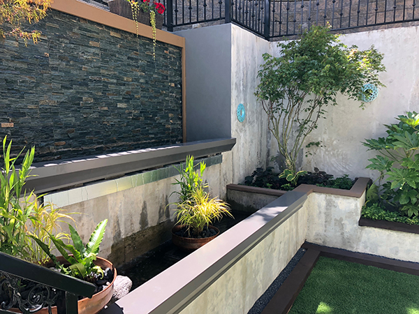 Waterfall, pond and plants (Photo: MRD Landscaping)