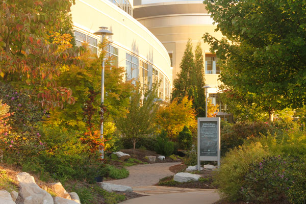 Photo: The Fockele Garden Co.