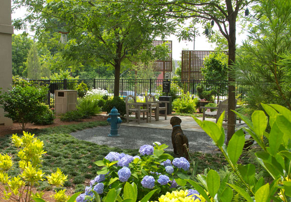 Photo: The Fockele Garden Co.
