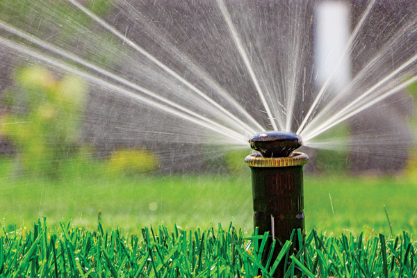 irrigation sprayhead (Photo: iStock.com/MaYcaL)