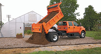 Chassis cab (Photo: Ford)