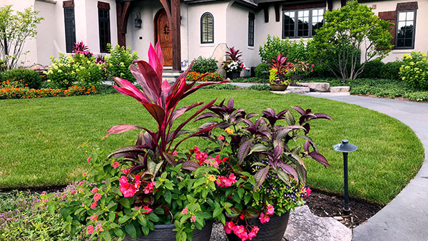 Flowers in front of house (Photo: James Martin Associates)