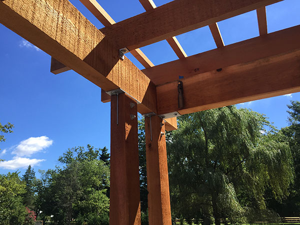 Pergola (Photo: Ledden Palimeno Landscape Co.)